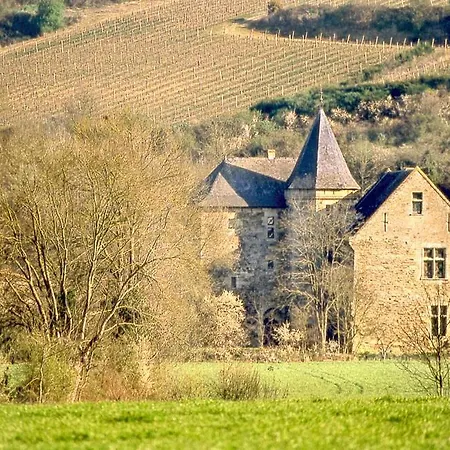 Chateau Sleeps 40 Pool Wifi Country house *